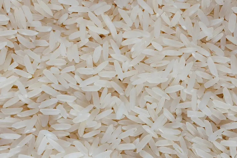 Arroz
