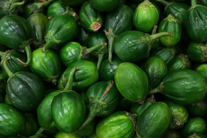 Berenjena híbrida