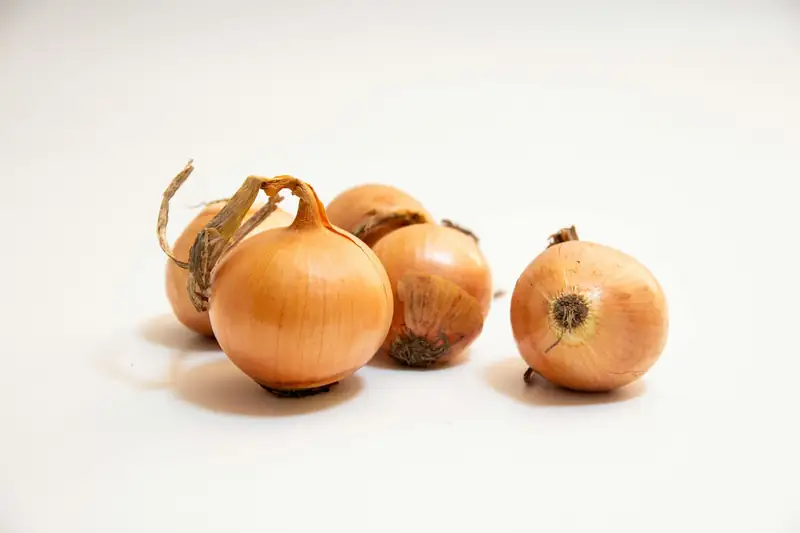 Cebolla