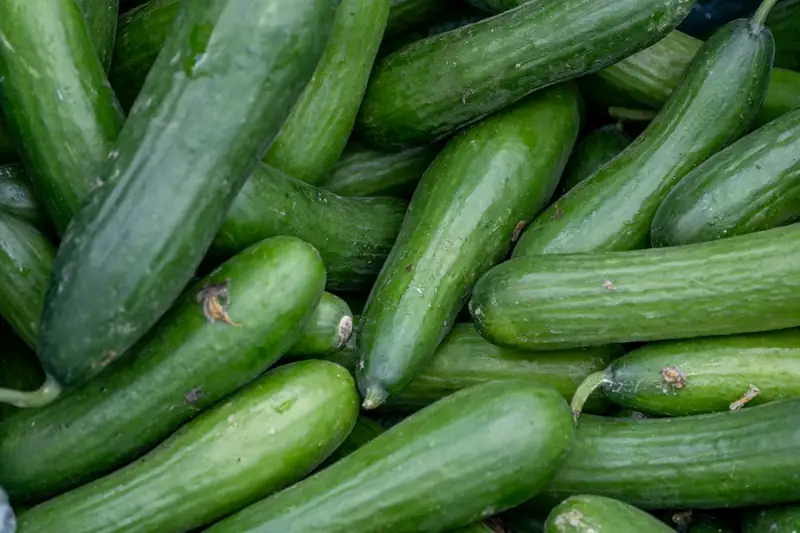 Pepino