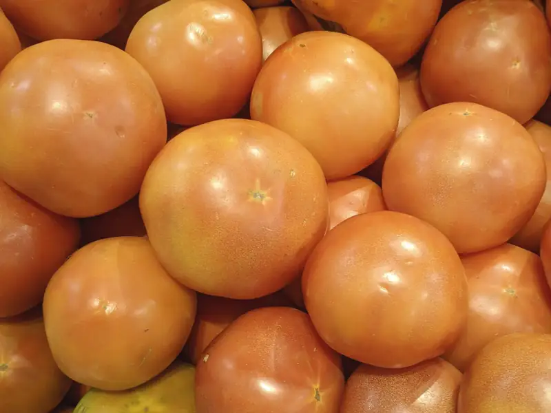 Tomate