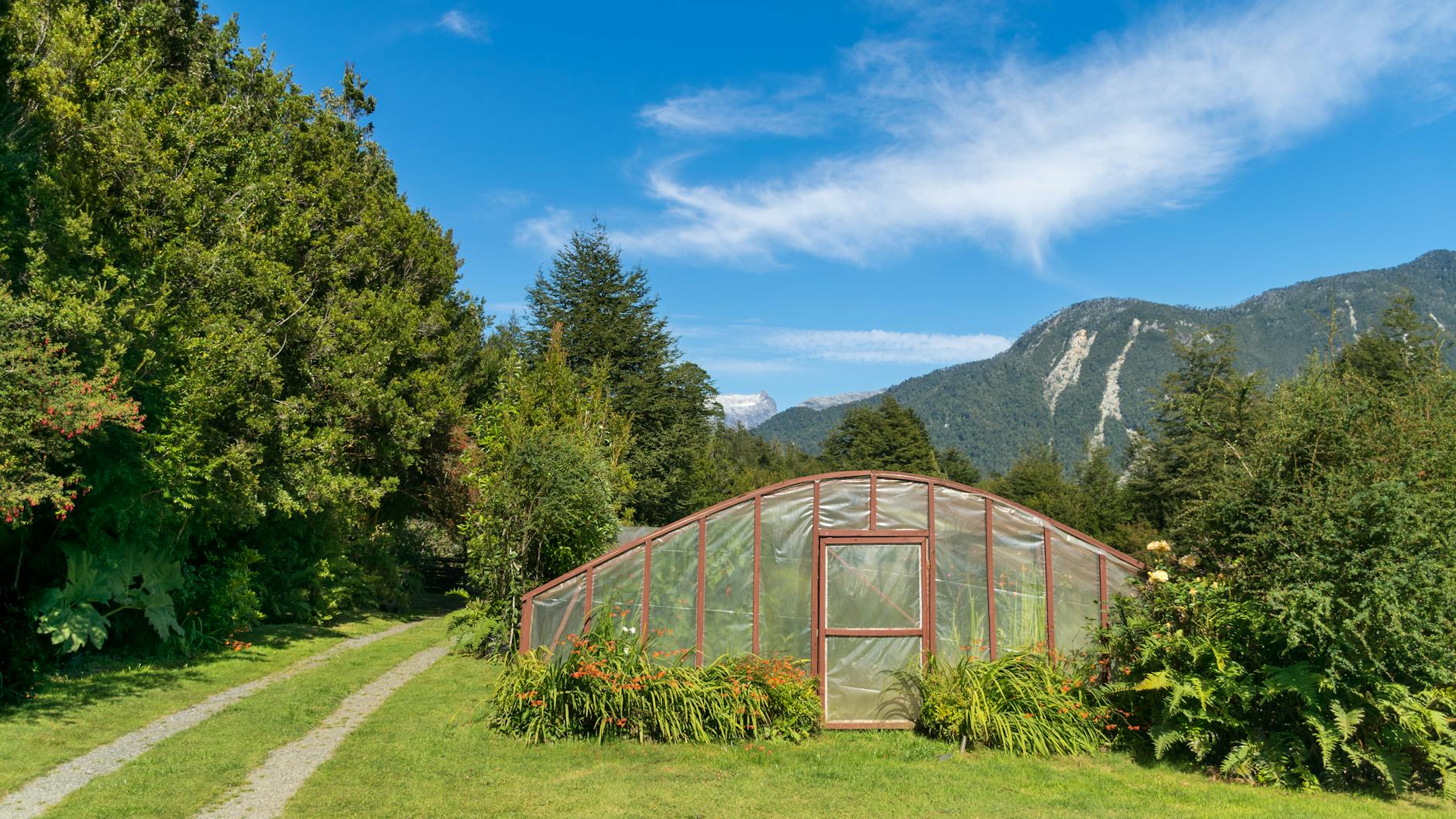 Fotos de stock gratuitas de agricultura, aire fresco, al aire libre