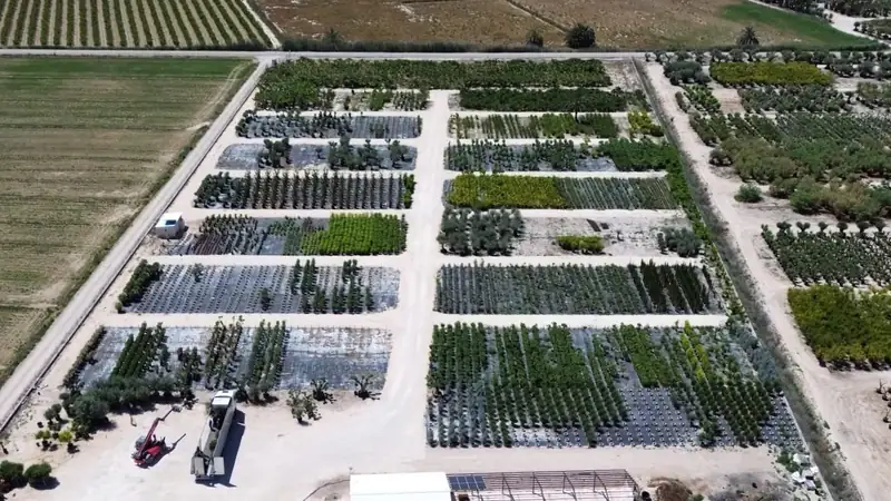 Instalaciones de Comex Plantas en Crevillent