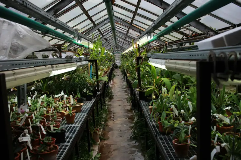 plant nursery